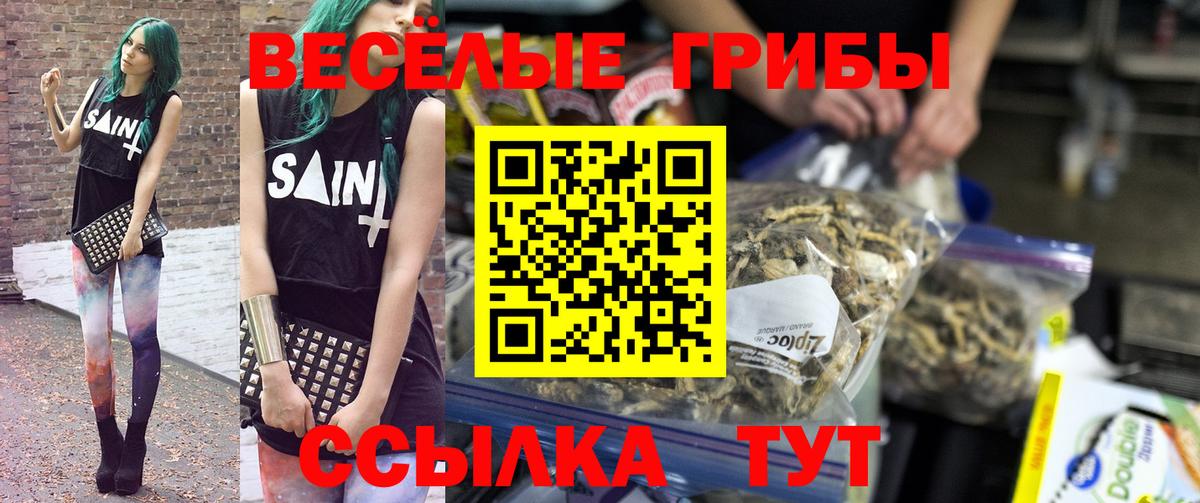 купить   Псилоцибиновые грибы GOLDEN TEACHER  Вход с VPN  Артёмовский  Галлюциногенные грибы GOLDEN TEACHER 