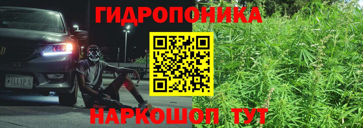 Конопля Bruce Banner  Вход с VPN  Каннабис VHQ  Канабис тримм  Артёмовский 